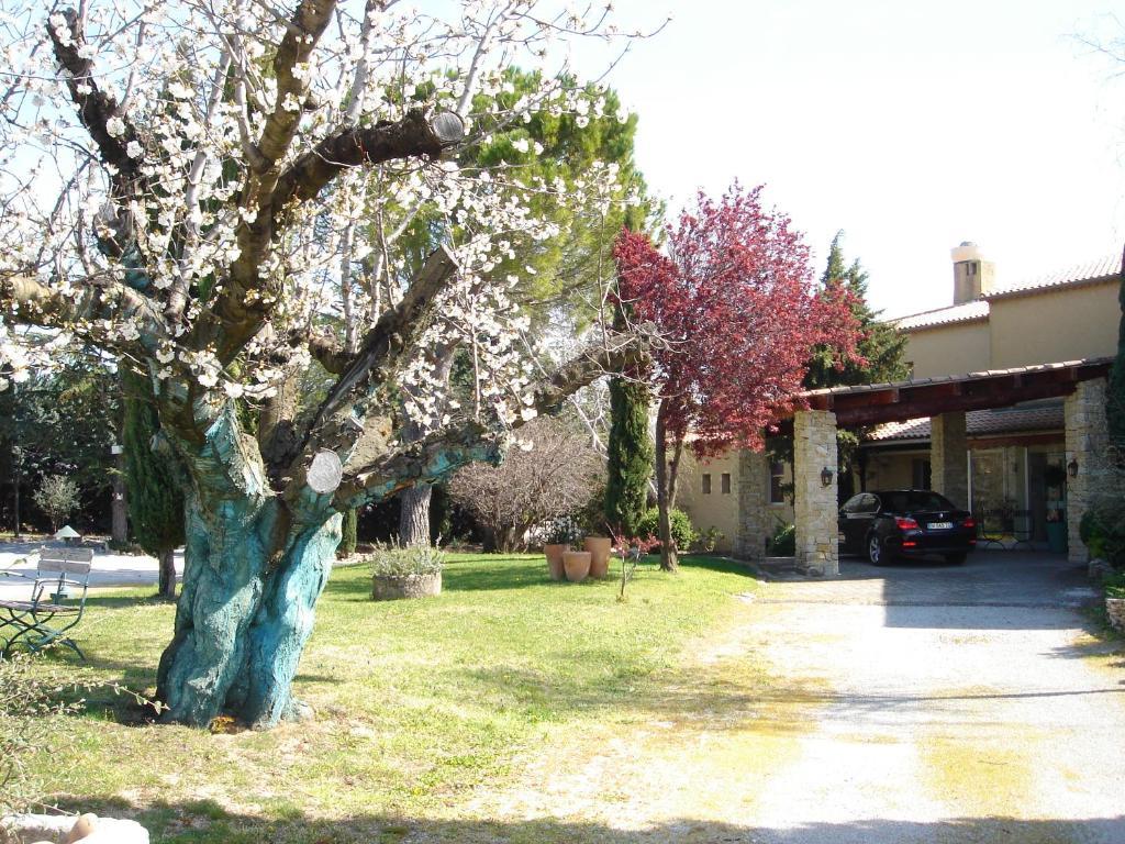 Hotel Bellerive Rasteau Εξωτερικό φωτογραφία